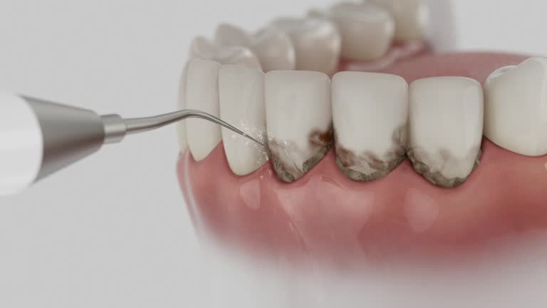Reliable Dental contractor in Forest City, PA by Dentist Open Now